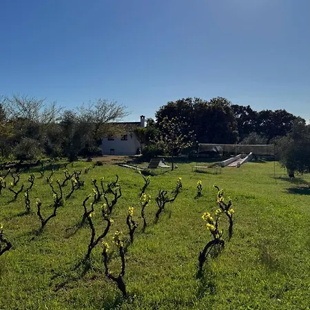 Сasa de vacaciones Piedras Negras, La Parchite, *